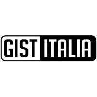 gist italia s.r.l. logo image