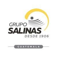 grupo salinas guatemala logo image