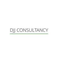 djj consultancy ltd logo image