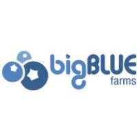 big blue farms