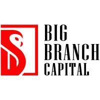 big branch capital llc logo image