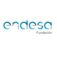 fundación endesa logo image