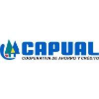 capual - cooperativa de ahorro y crédito unión aérea ltda. logo image