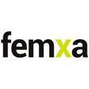 logo of Grupo Femxa