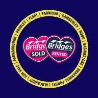 bridges group logo image