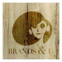 brandsandu logo image