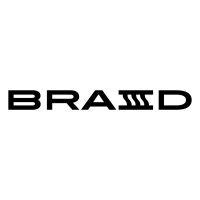 braid logo image