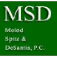 molod spitz & desantis, p.c. logo image