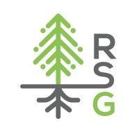 root strategy group logo image