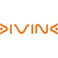 divine dcc - digital communication consultants logo image