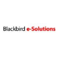 blackbird e-solutions llc logo image