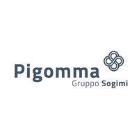 pigomma spa - gruppo sogimi