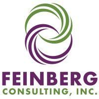 feinberg consulting, inc.