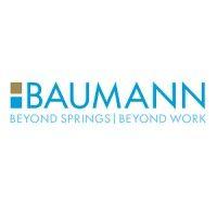 baumann springs north america logo image