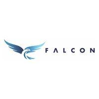 falcon logo image