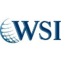 wsi online logo image