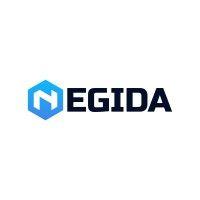 negida corporation logo image