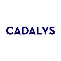 cadalys, inc. logo image