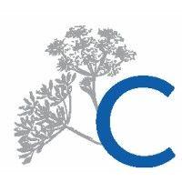 caraway capital logo image