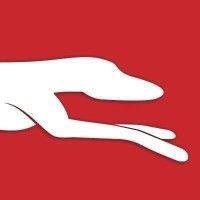 greyhound australia logo image