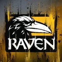 raven software logo image