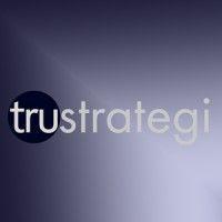 trustrategi logo image