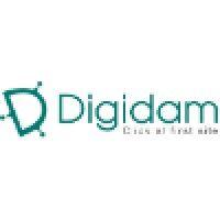 digidam design logo image