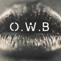 o.w.b public affairs research, strategy, writing logo image