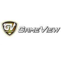 gameview sdn bhd. logo image