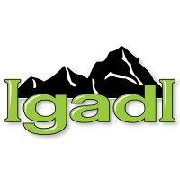 igadi, ltd.