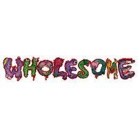 wholesomezine llc logo image