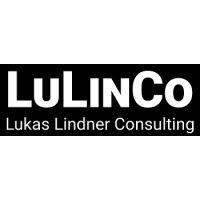 lulinco beratungsleistungen logo image