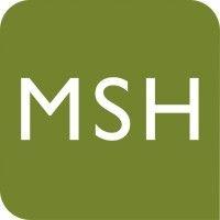 msh consulting logo image