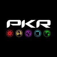 pkr technologies ltd logo image