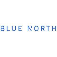 blue north logo image