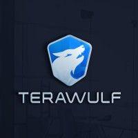 terawulf logo image