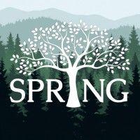 the spring group logo image