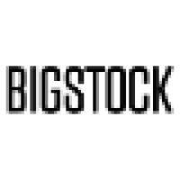 bigstock logo image