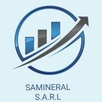 ste samineral logo image