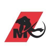 mammoth carbon products, llc