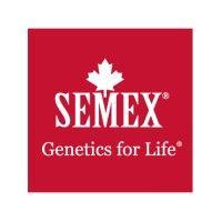 semex uk logo image