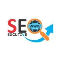 web seo executive logo image