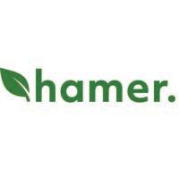 hamer environmental logo image