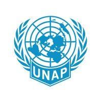 united nations association of pakistan (unap) logo image