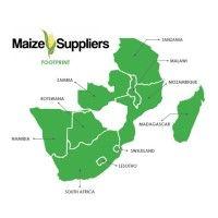 maize suppliers logo image