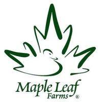 maple leaf farms logo image