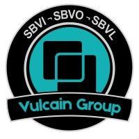 vulcain group sas logo image