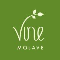 vine molave