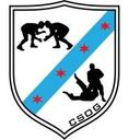 logo of Chicago School Of Grappling