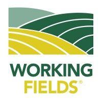 working fields logo image